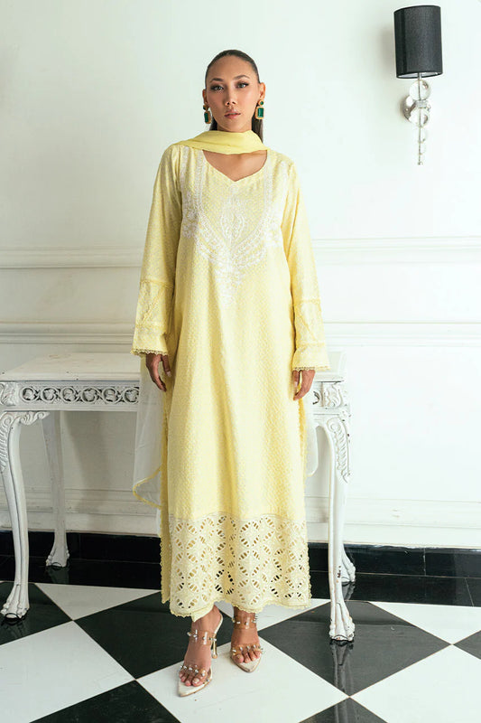 NIMRA KASHIF - Solnaya