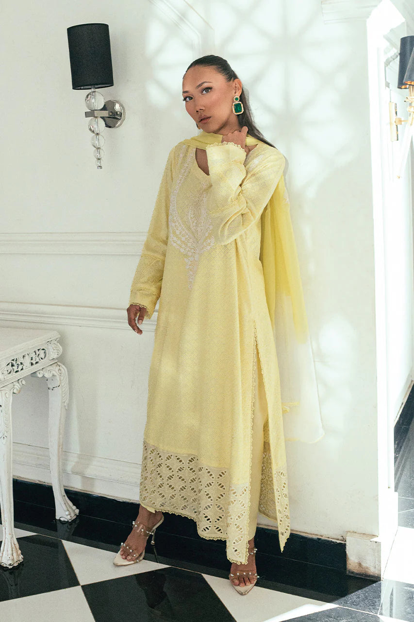 NIMRA KASHIF - Solnaya