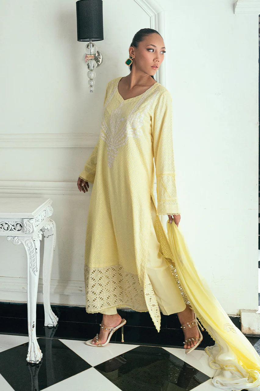 NIMRA KASHIF - Solnaya