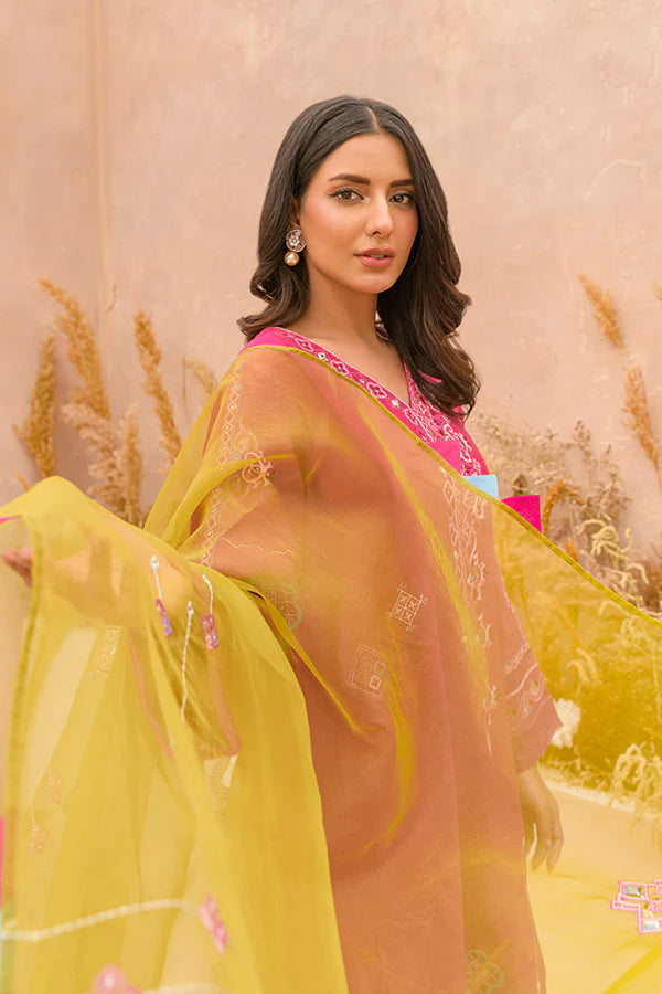 RIMSHA SHAIKHANI - AMRAH pink