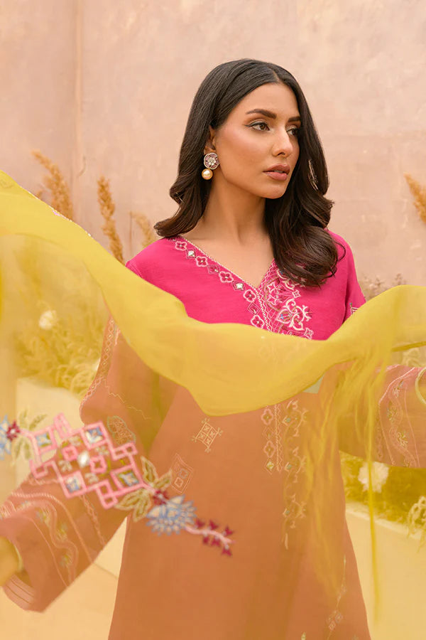 RIMSHA SHAIKHANI - AMRAH pink