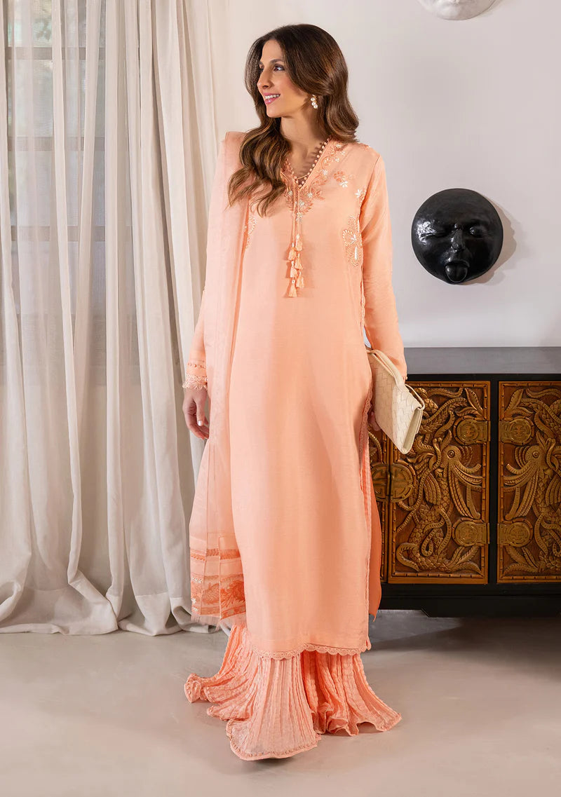 ZAINAB ZULFIQAR - Marjan Coral
