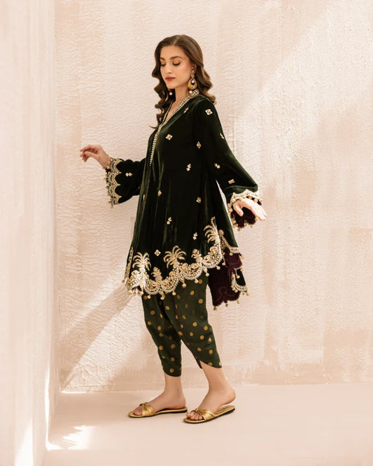 ALEENA FAREENA-Zareen
