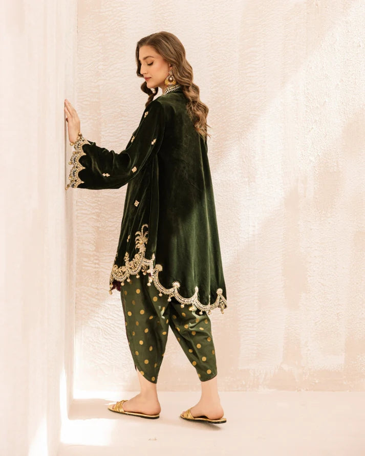 ALEENA FAREENA-Zareen