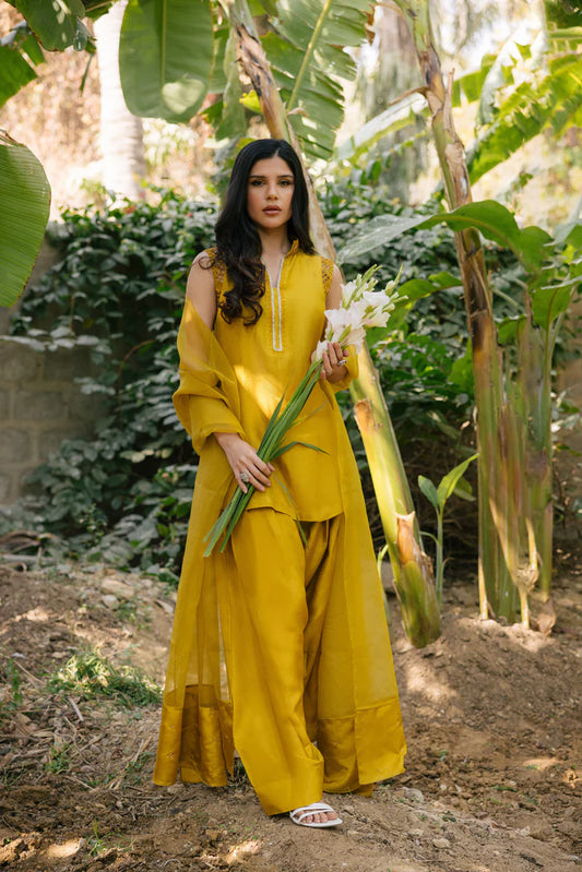 HUMAYUN ALAMGIR ( WOMENWEAR) - Mustard with sleeves and Farshi
