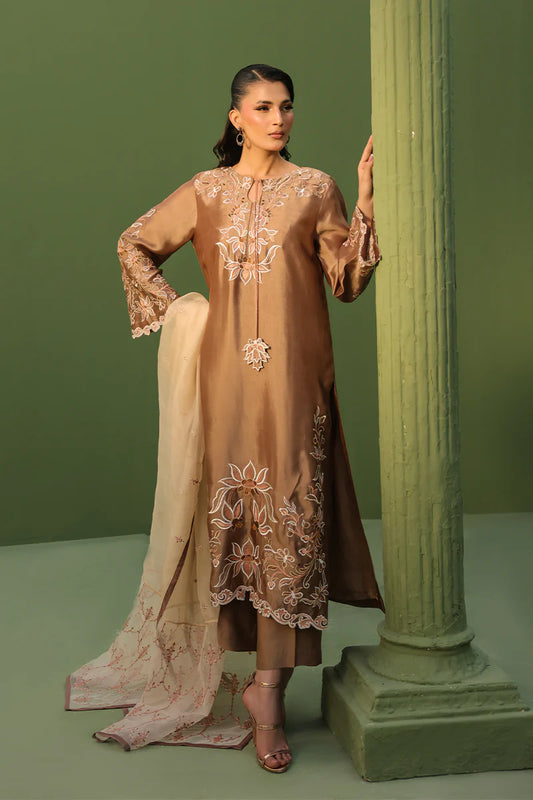 HAFSA MALIK - Biscotti