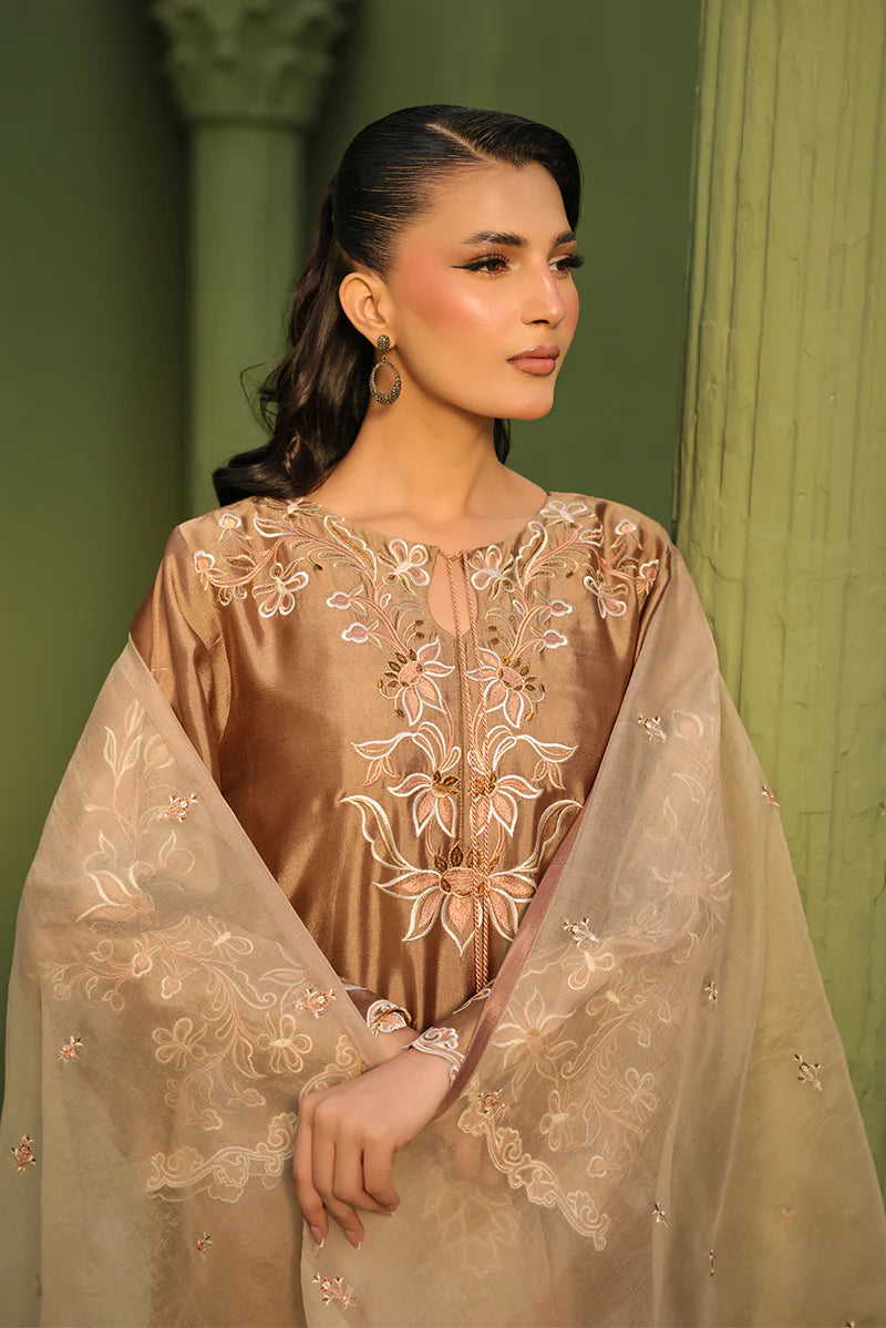 HAFSA MALIK - Biscotti