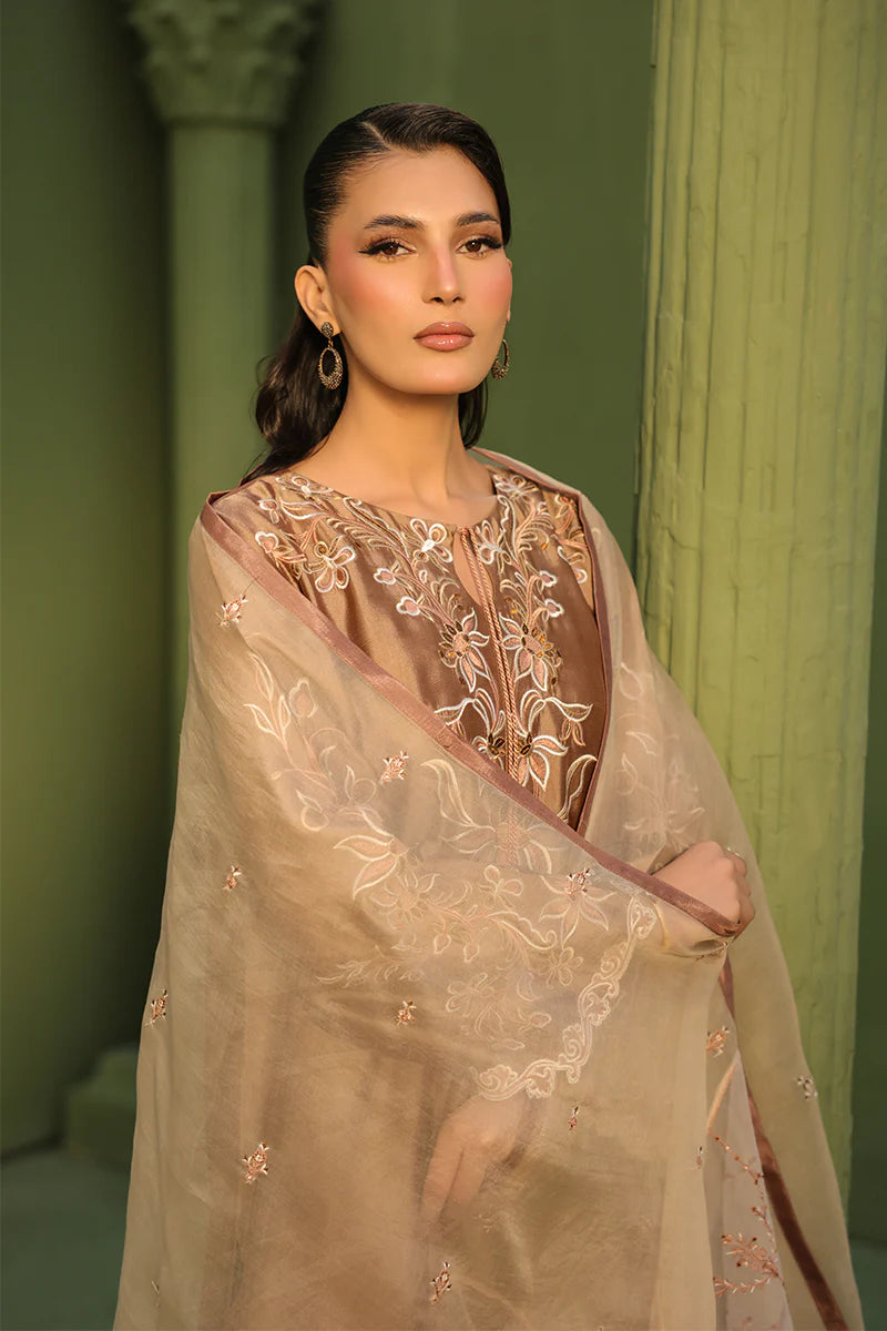 HAFSA MALIK - Biscotti