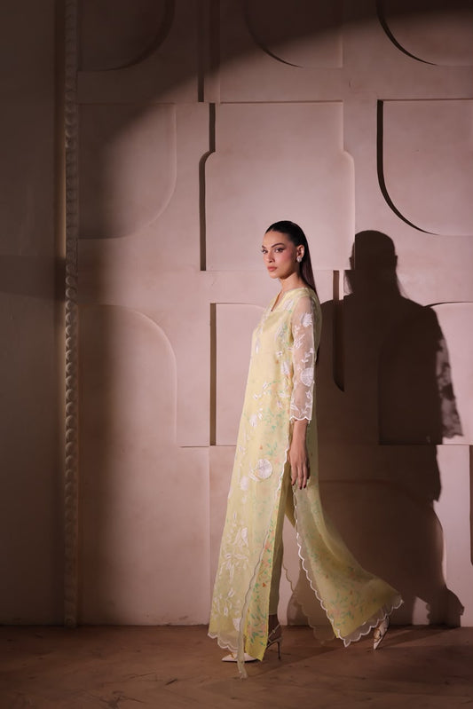 UZMA AND AFSHEEN - Daffodil