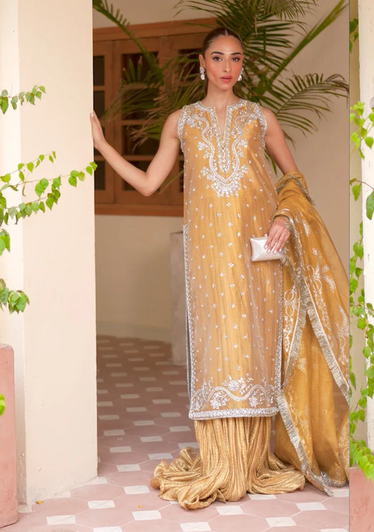 ZAINAB ZULFIQAR - Asel with Sleeves