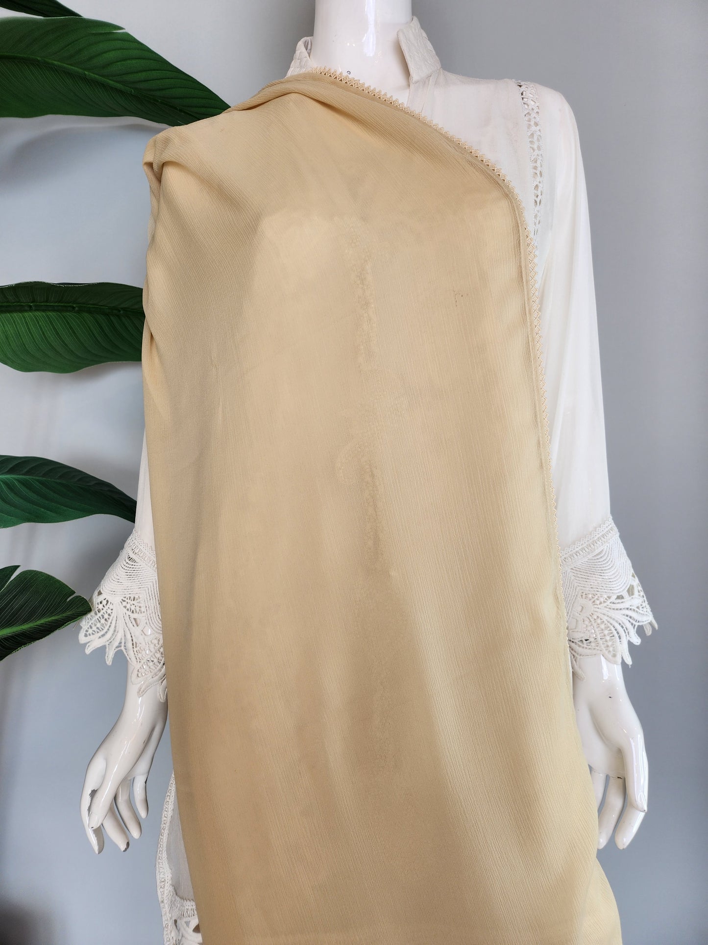 SABEEN MANEKIA - Beige Chiffon Dupatta