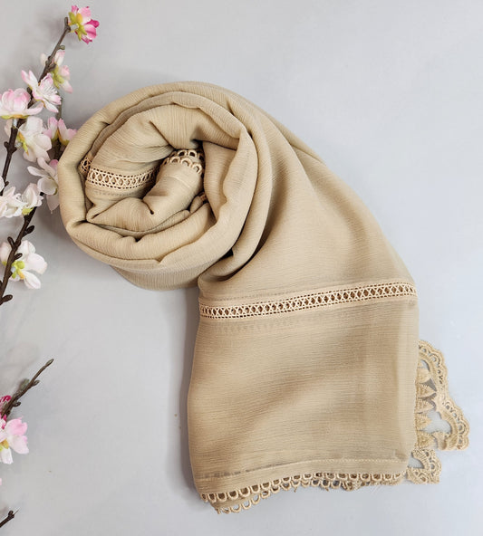 SABEEN MANEKIA - Dark Beige Chiffon Dupatta with Lace