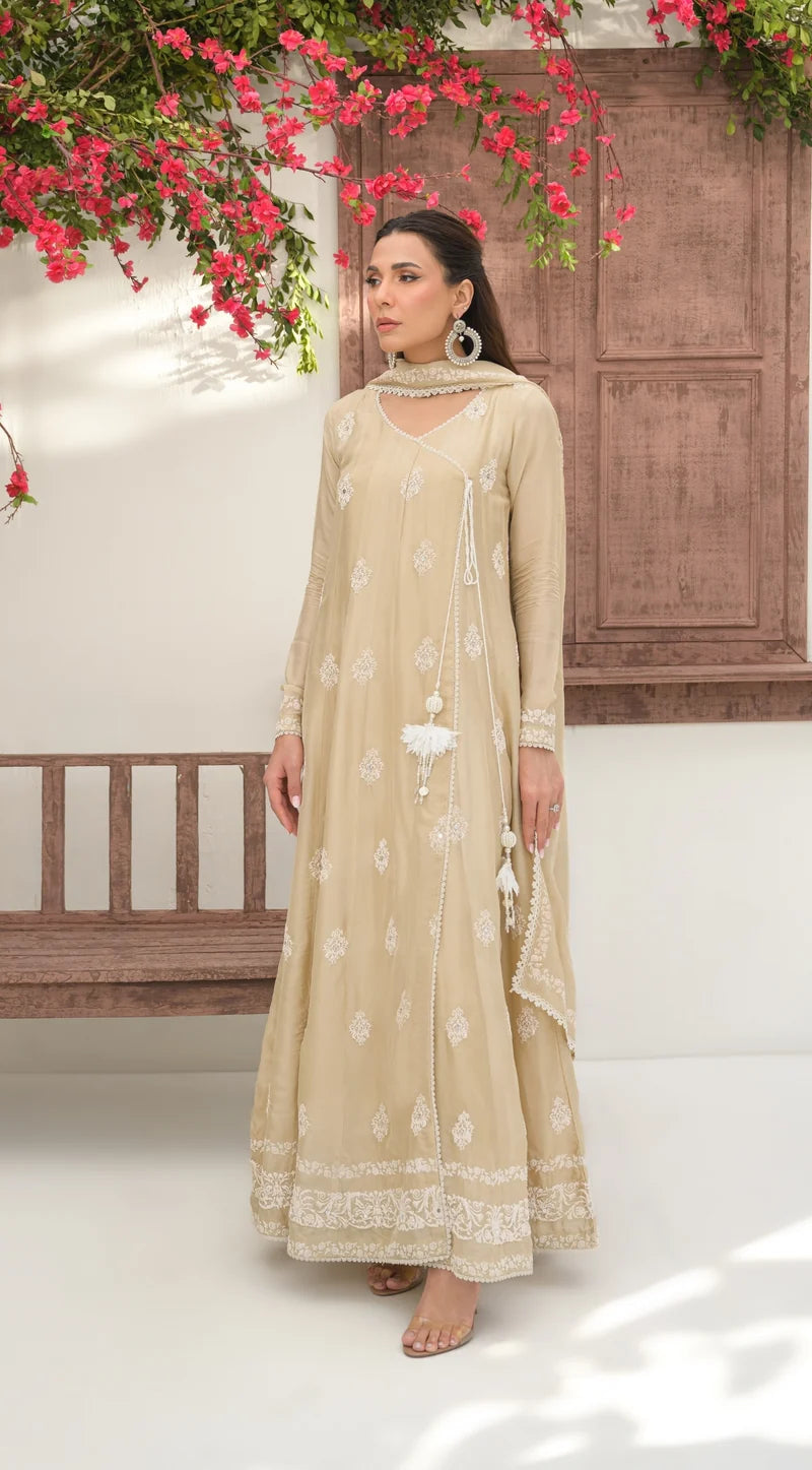 SABEEN ABBAS  - Dove Black