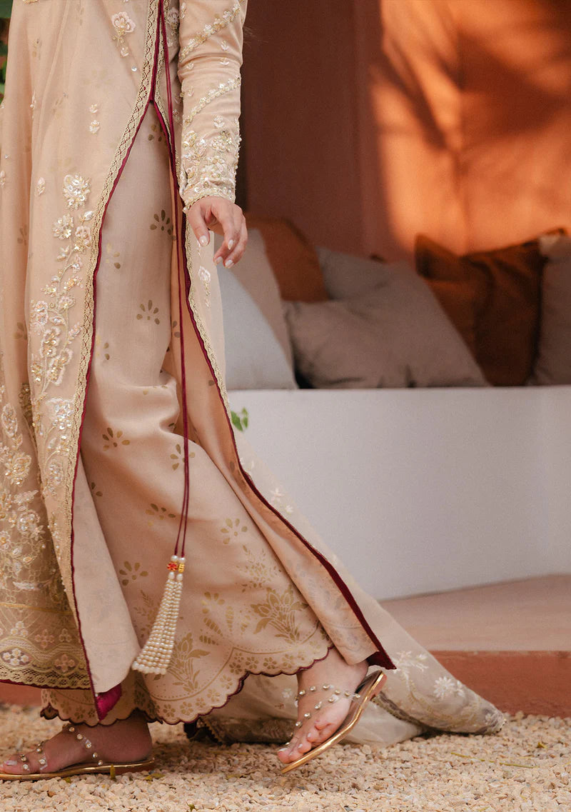 ZAINAB ZULFIQAR - Parizad