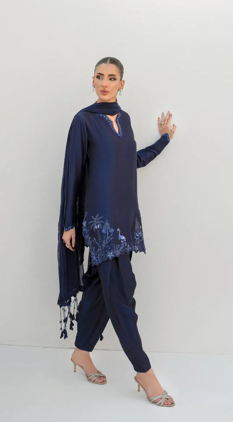 SABEEN ABBAS- Robin