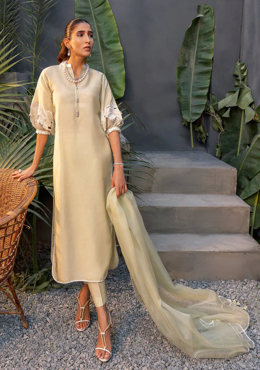 ZAINAB ZULFIQAR - Aida Pistachio