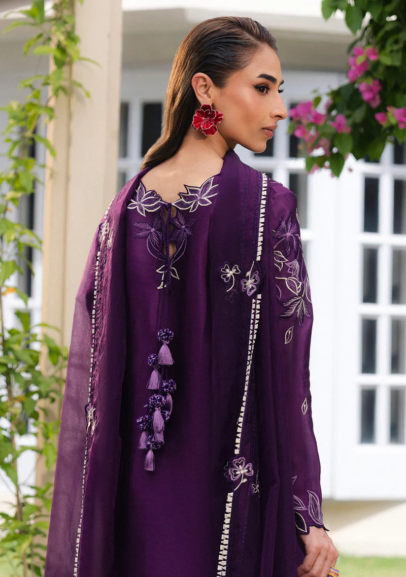ZAINAB ZULFIQAR - Aysal Purple