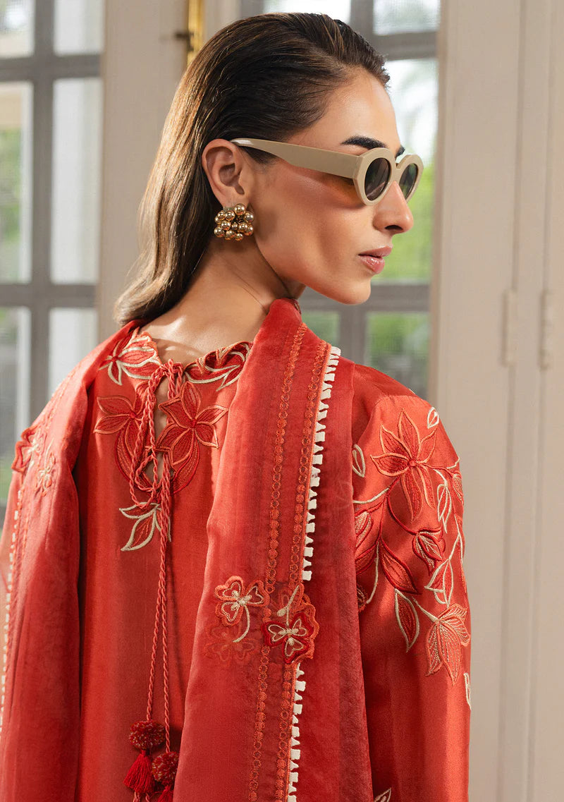 ZAINAB ZULFIQAR-Aysal Rust