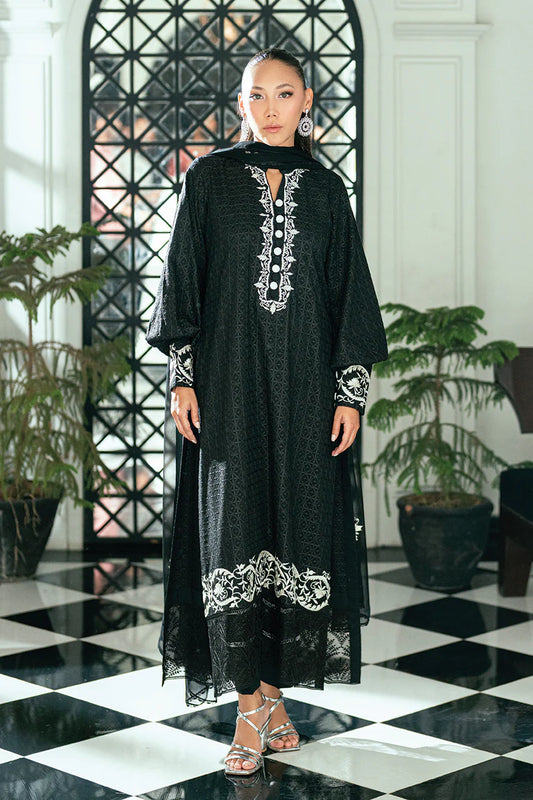 NIMRA KASHIF - Tayna