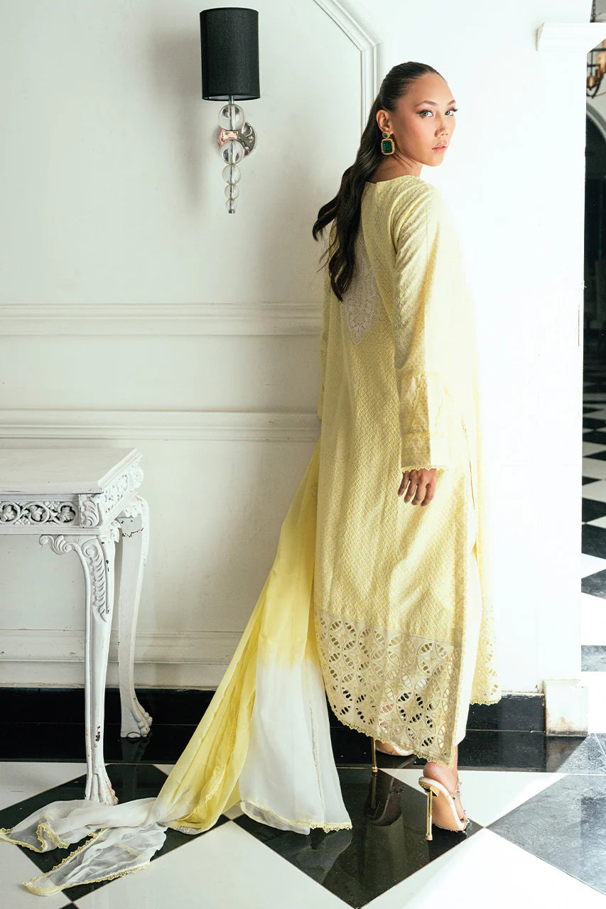 NIMRA KASHIF - Solnaya