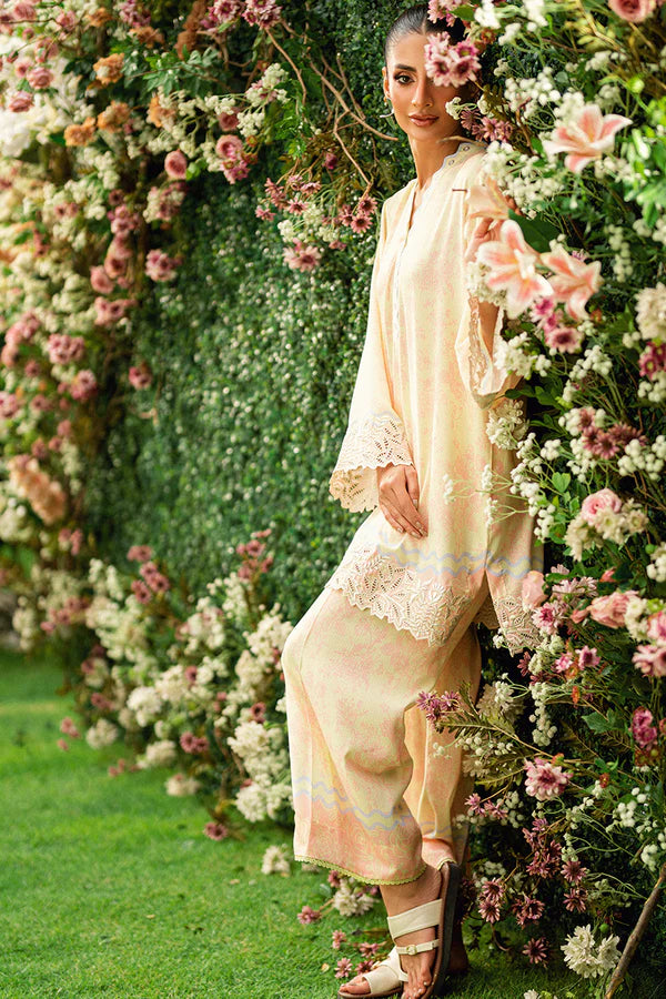 NIMRA KASHIF - Rosie blush