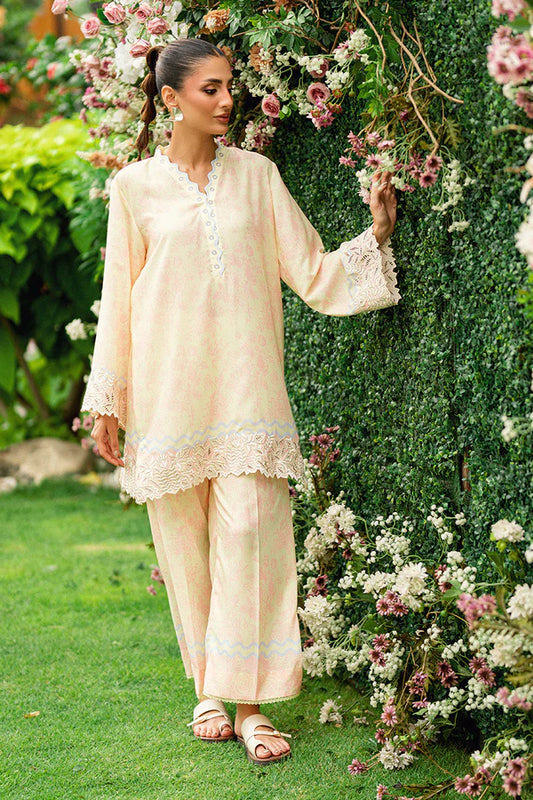 NIMRA KASHIF - Rosie blush