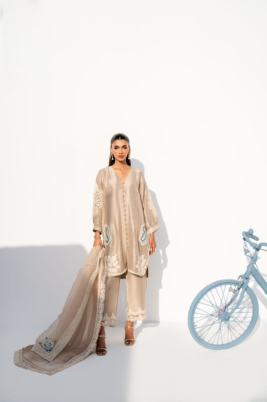 KOMAL LAKHANI - Gray Aari