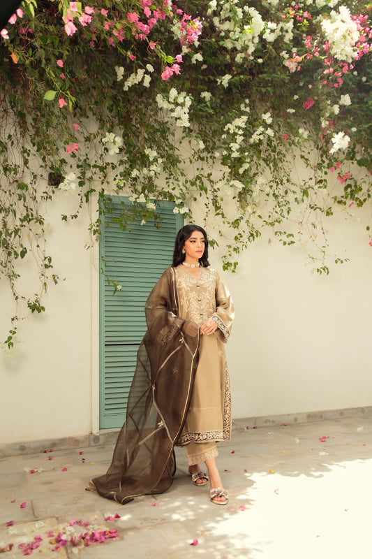 KOMAL LAKHANI - Brown and Brown Aari work
