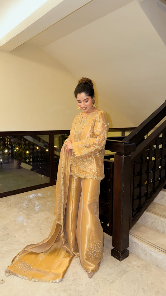 WAJEEHA ANSARI - Saharé