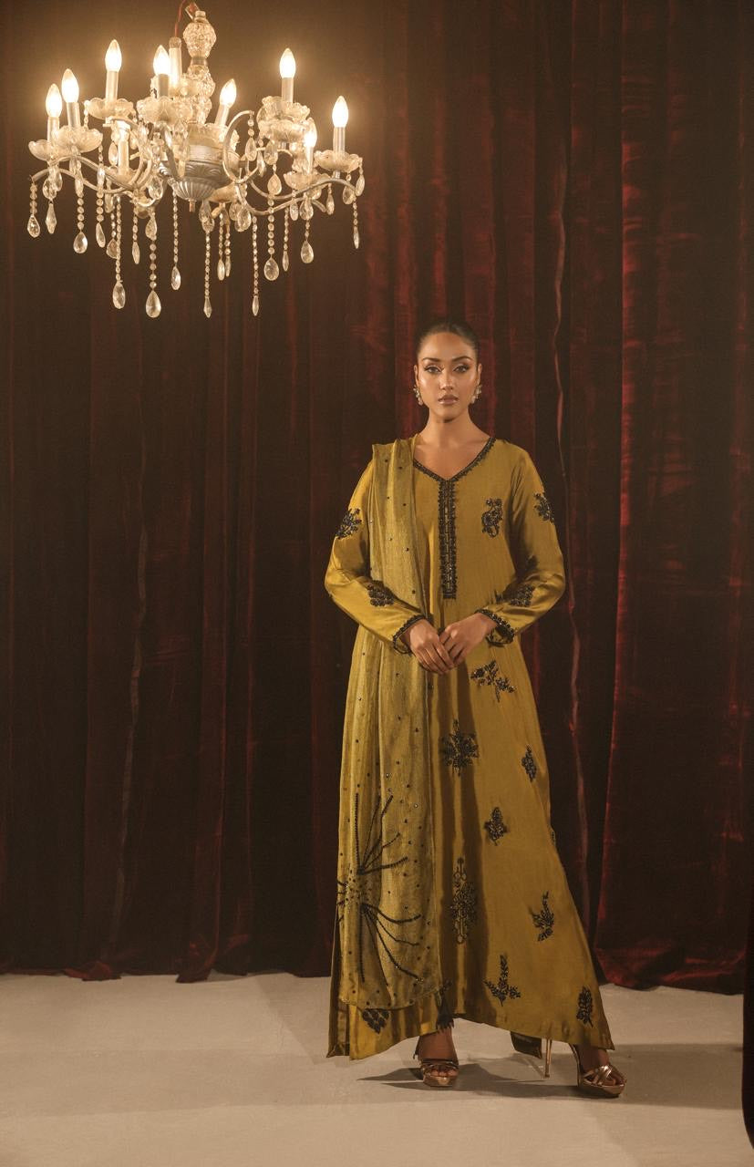 HAFSA MALIK - Dhaani