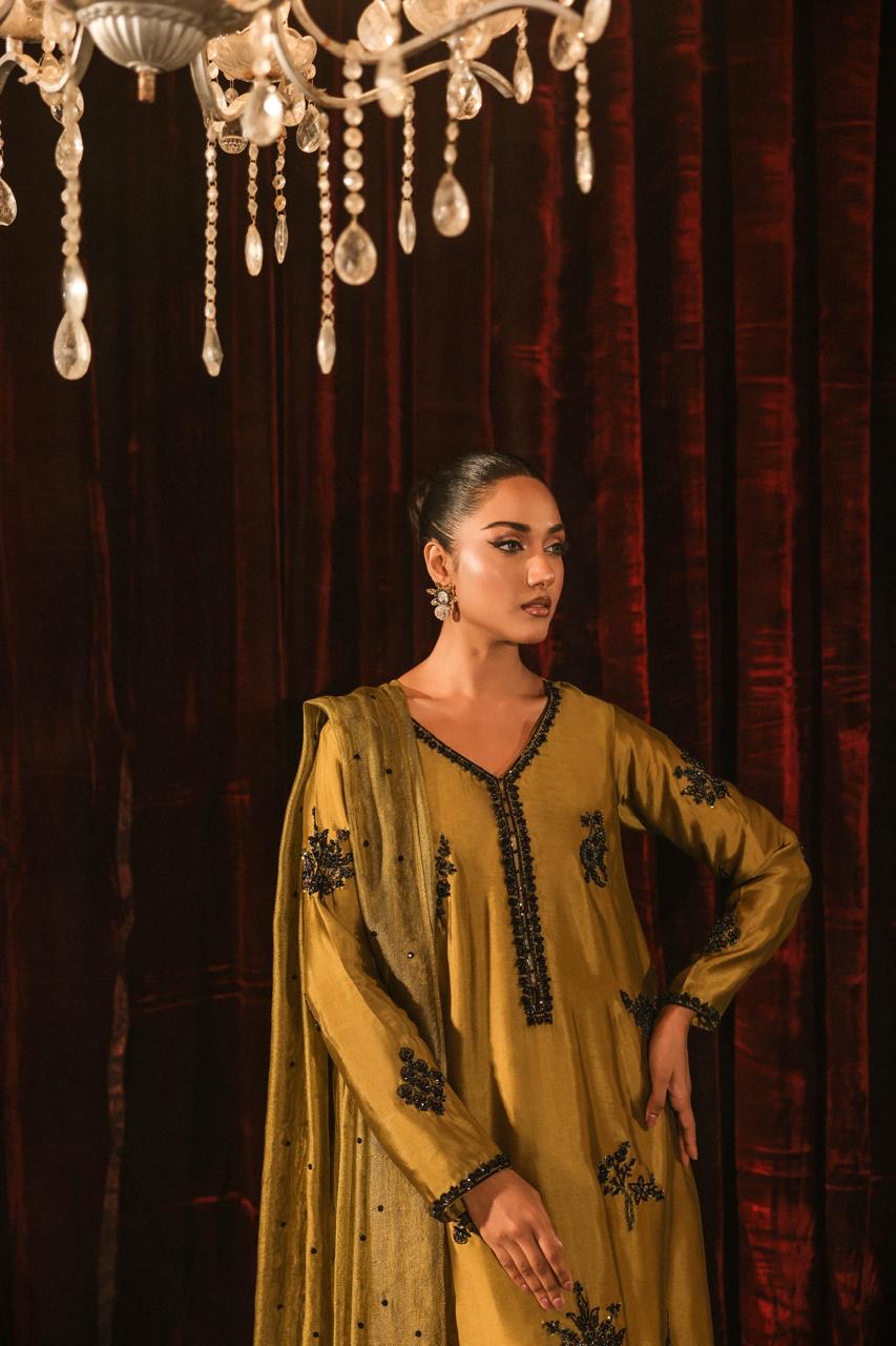 HAFSA MALIK - Dhaani