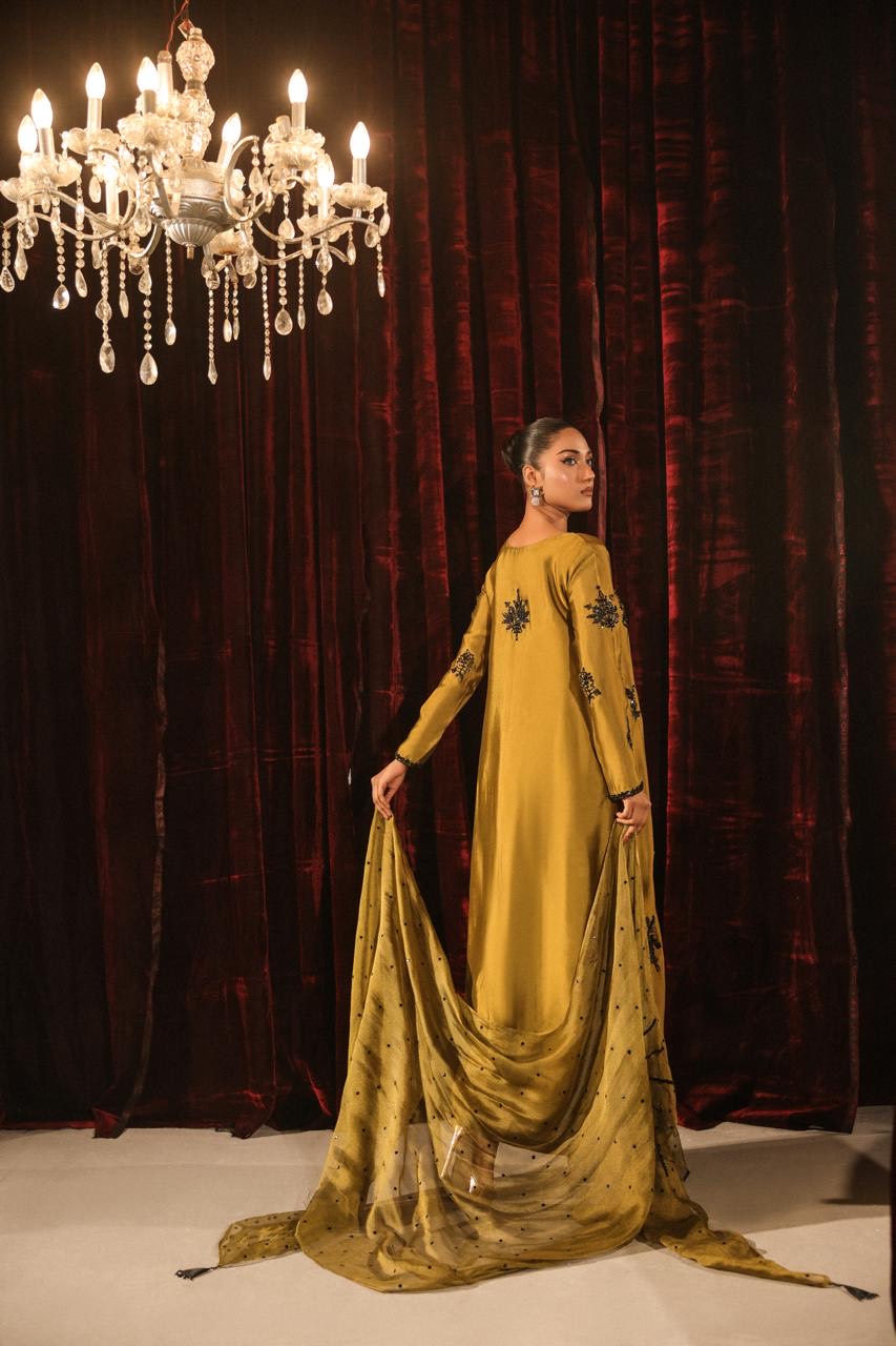 HAFSA MALIK - Dhaani