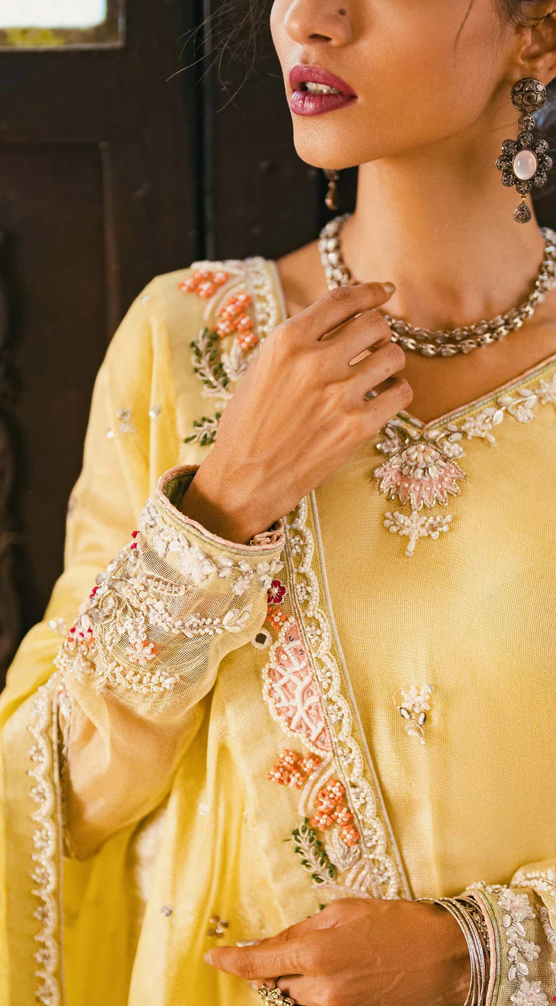 SABEEN ABBAS - Ruha with plain net Dupatta