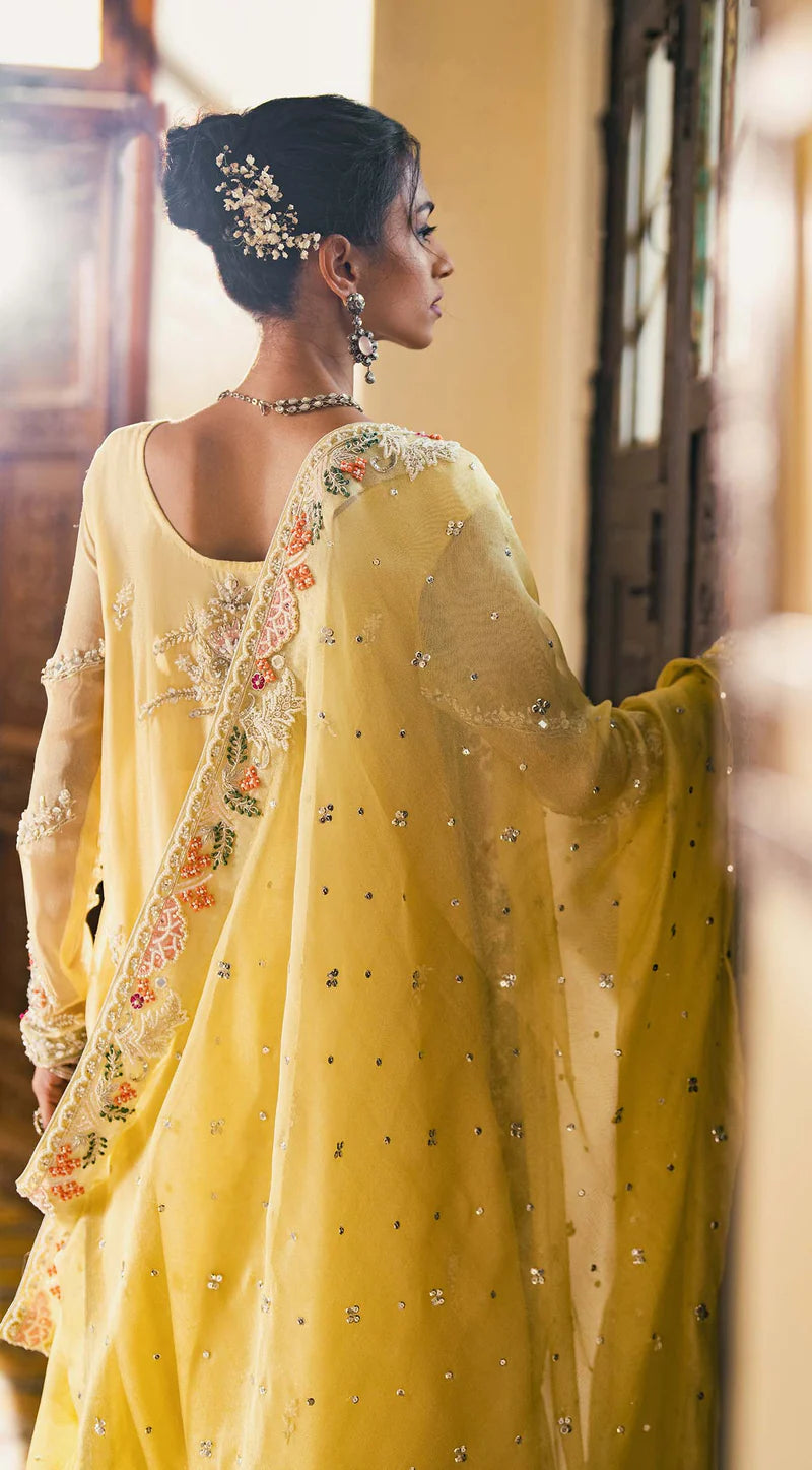 SABEEN ABBAS - Ruha with plain net Dupatta