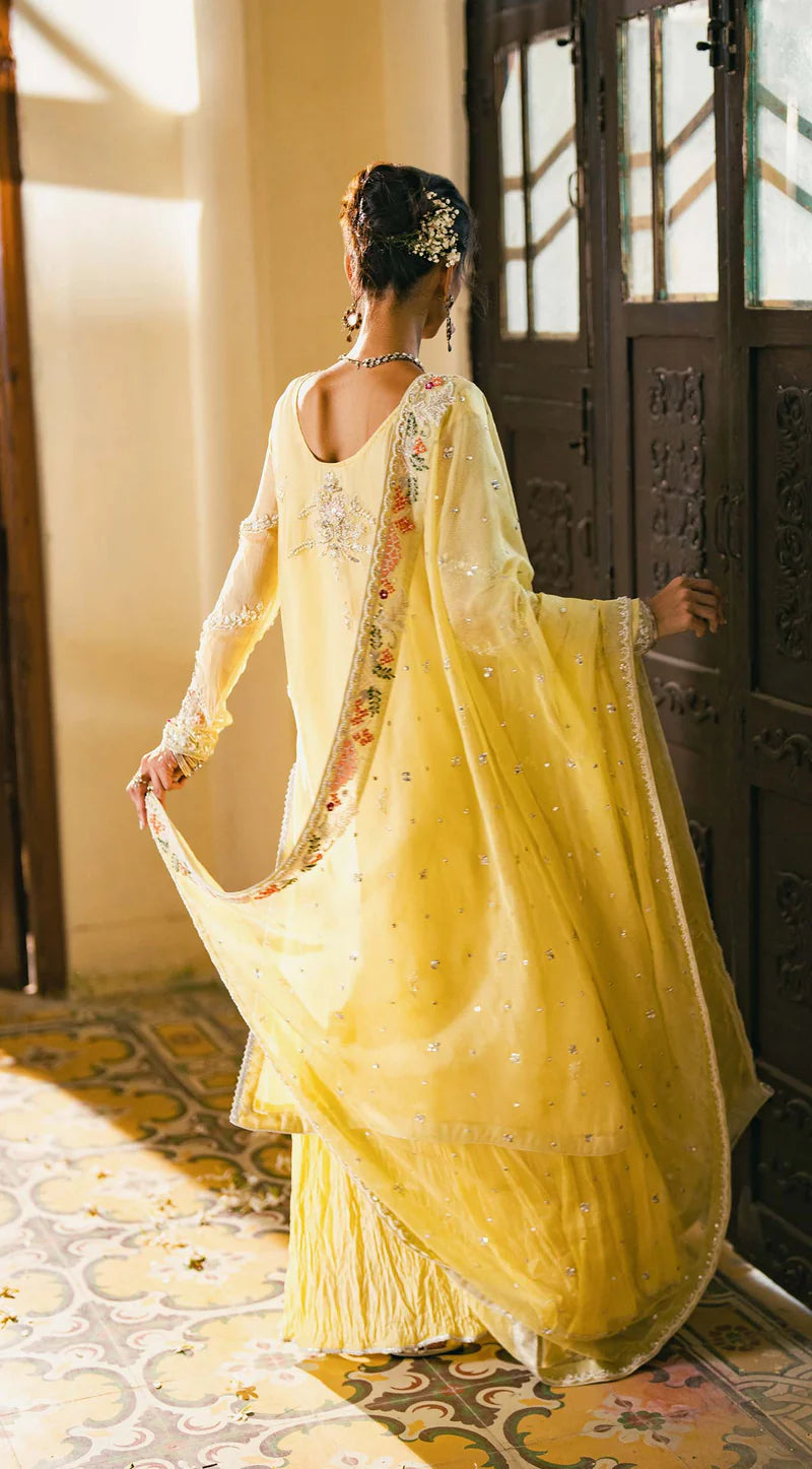 SABEEN ABBAS - Ruha with plain net Dupatta