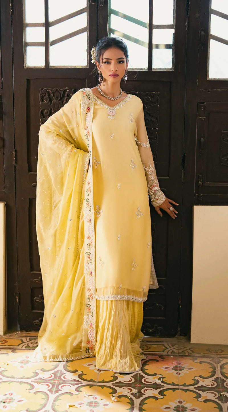 SABEEN ABBAS - Ruha with plain net Dupatta