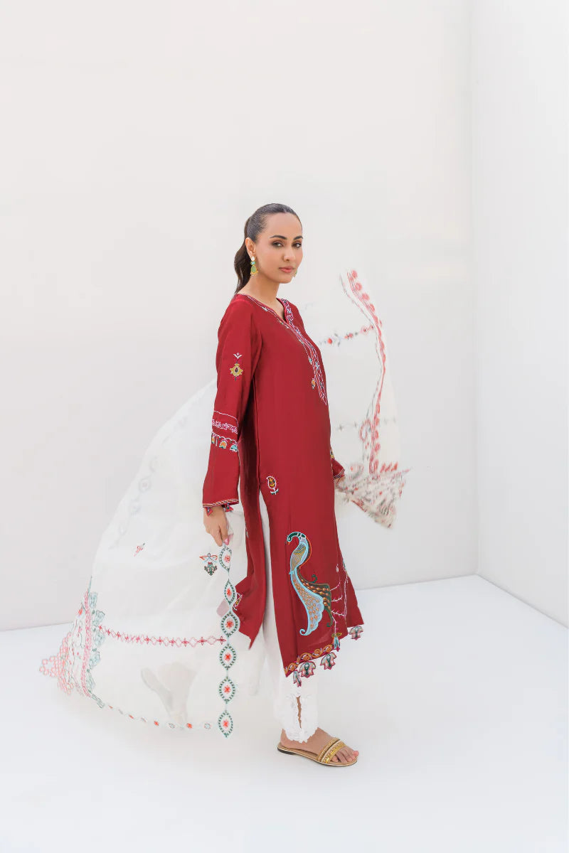 RIMSHA SHAIKHANI - Uswa