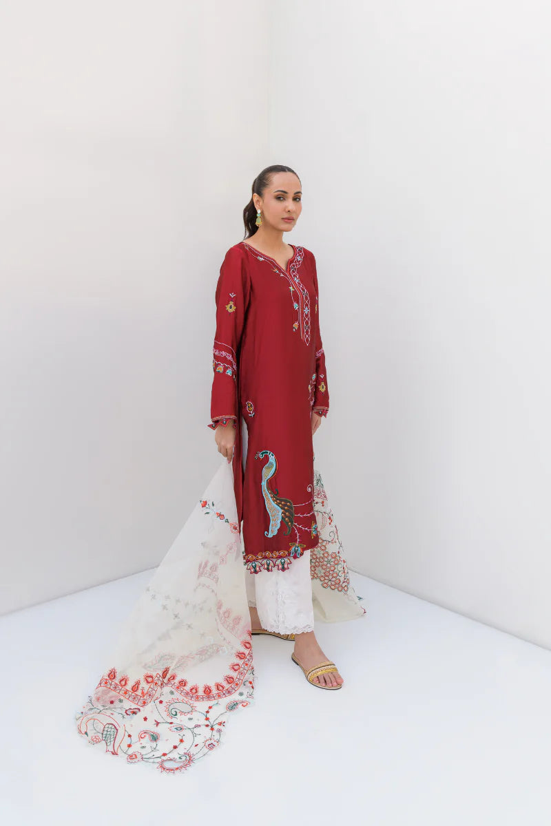 RIMSHA SHAIKHANI - Uswa
