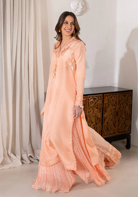 ZAINAB ZULFIQAR - Marjan Coral