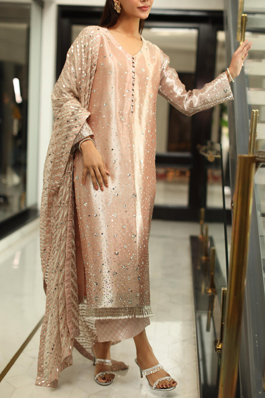 UZMA AND AFSHEEN - Champagne blush