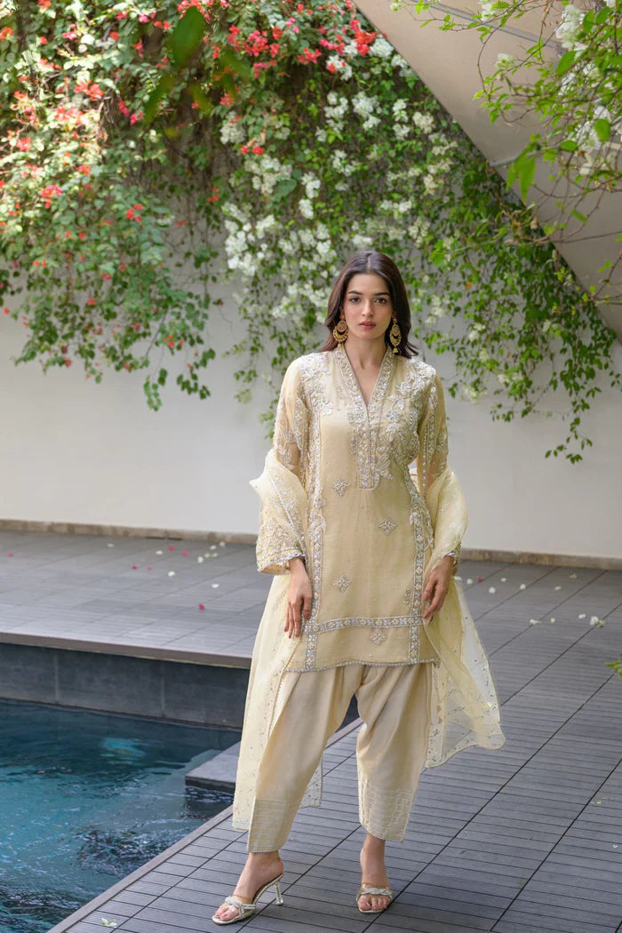 ERAM SHEIKH - Zarmina