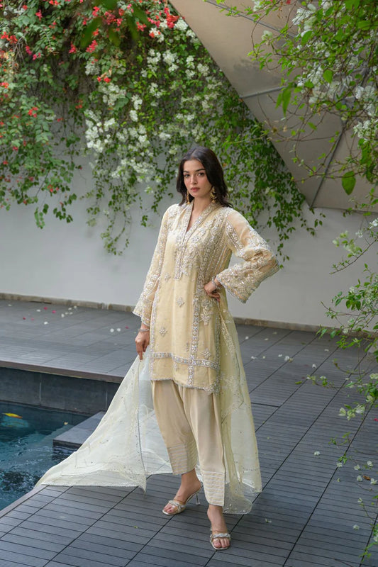 ERAM SHEIKH - Zarmina