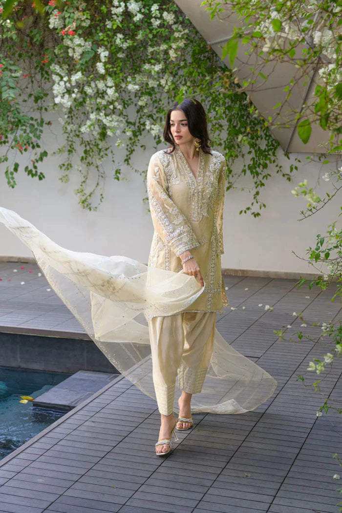 ERAM SHEIKH - Zarmina