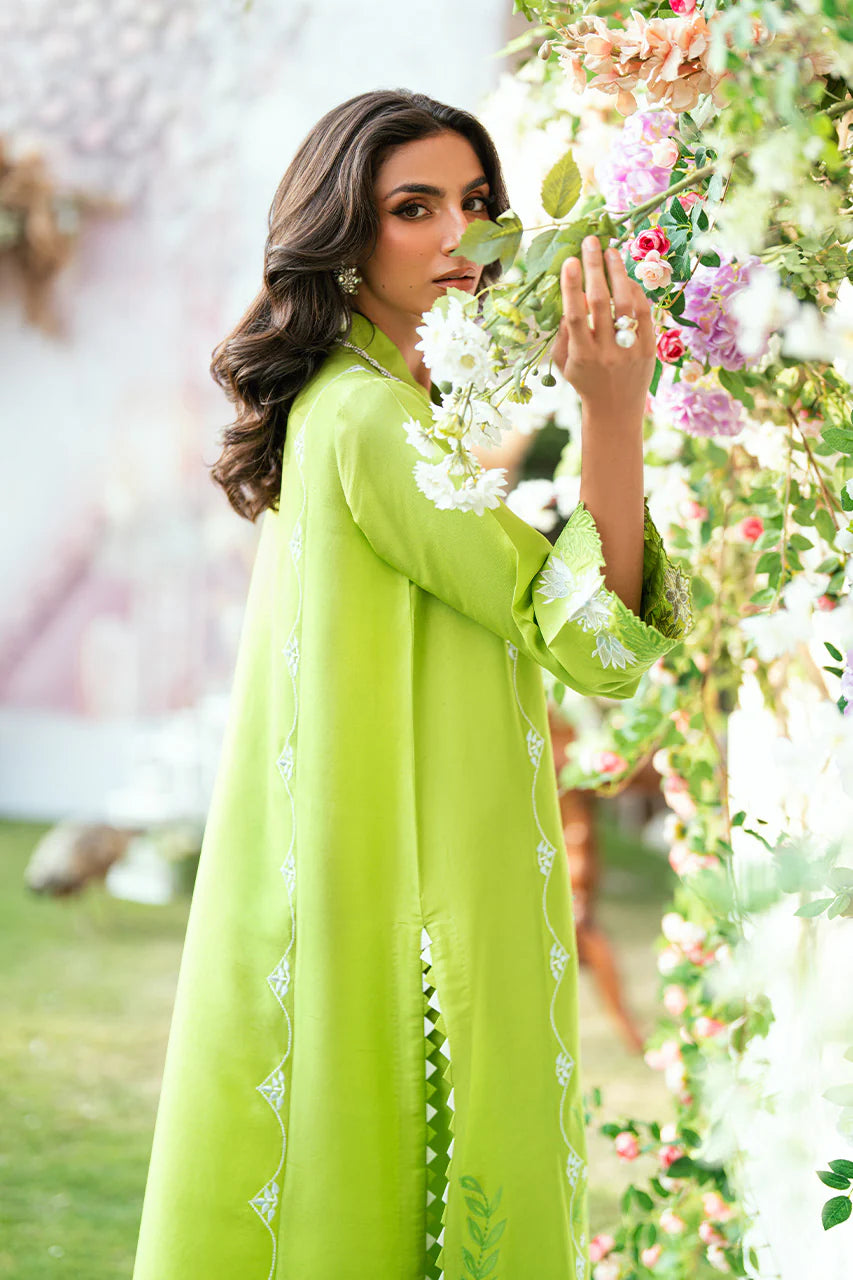 NIMRA KASHIF - Zeen