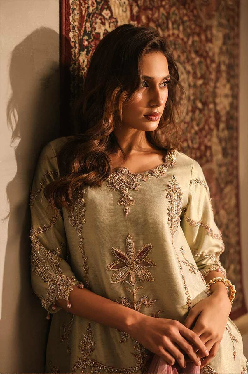 HAFSA MALIK - Ivy