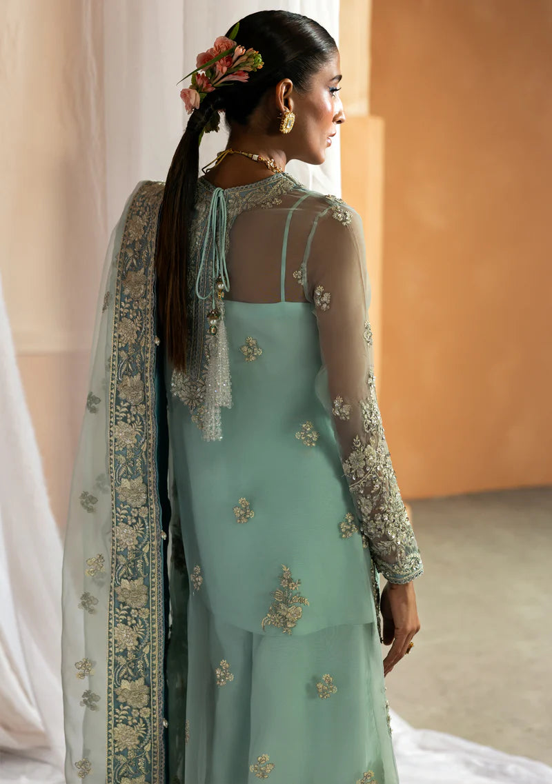 ZAINAB ZULFIQAR - Narmin