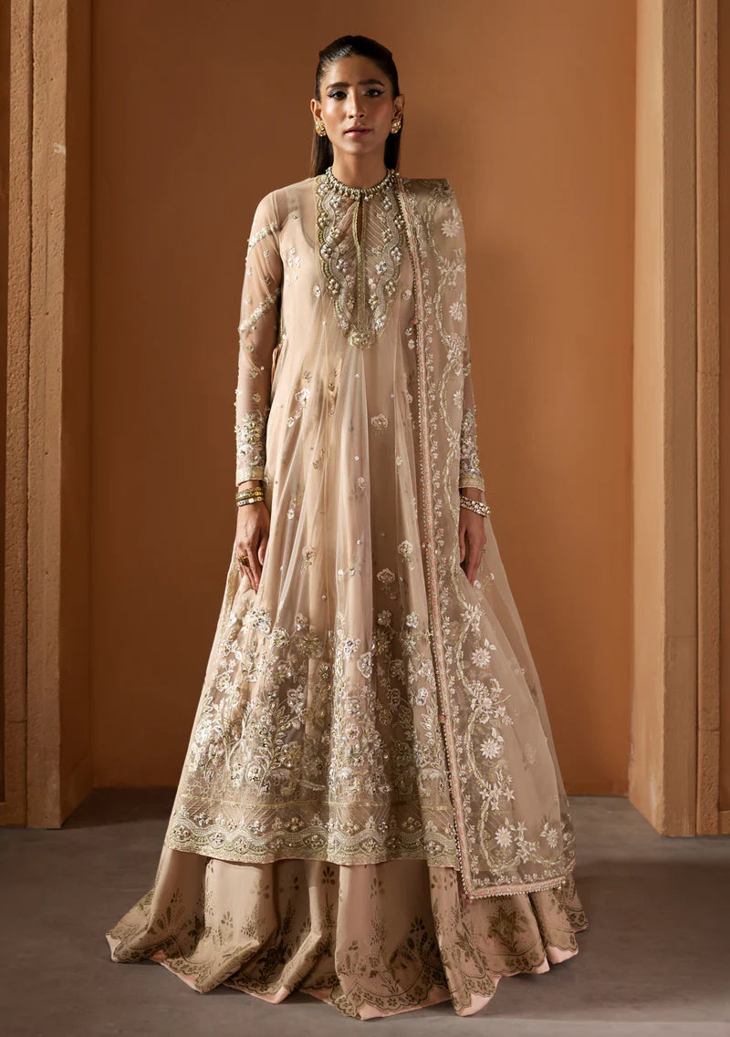 ZAINAB ZULFIQAR - Parizad