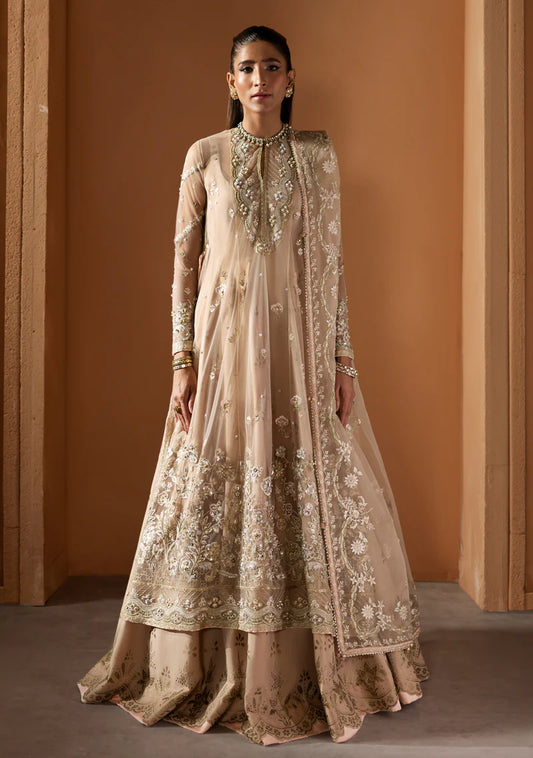 ZAINAB ZULFIQAR - Parizad