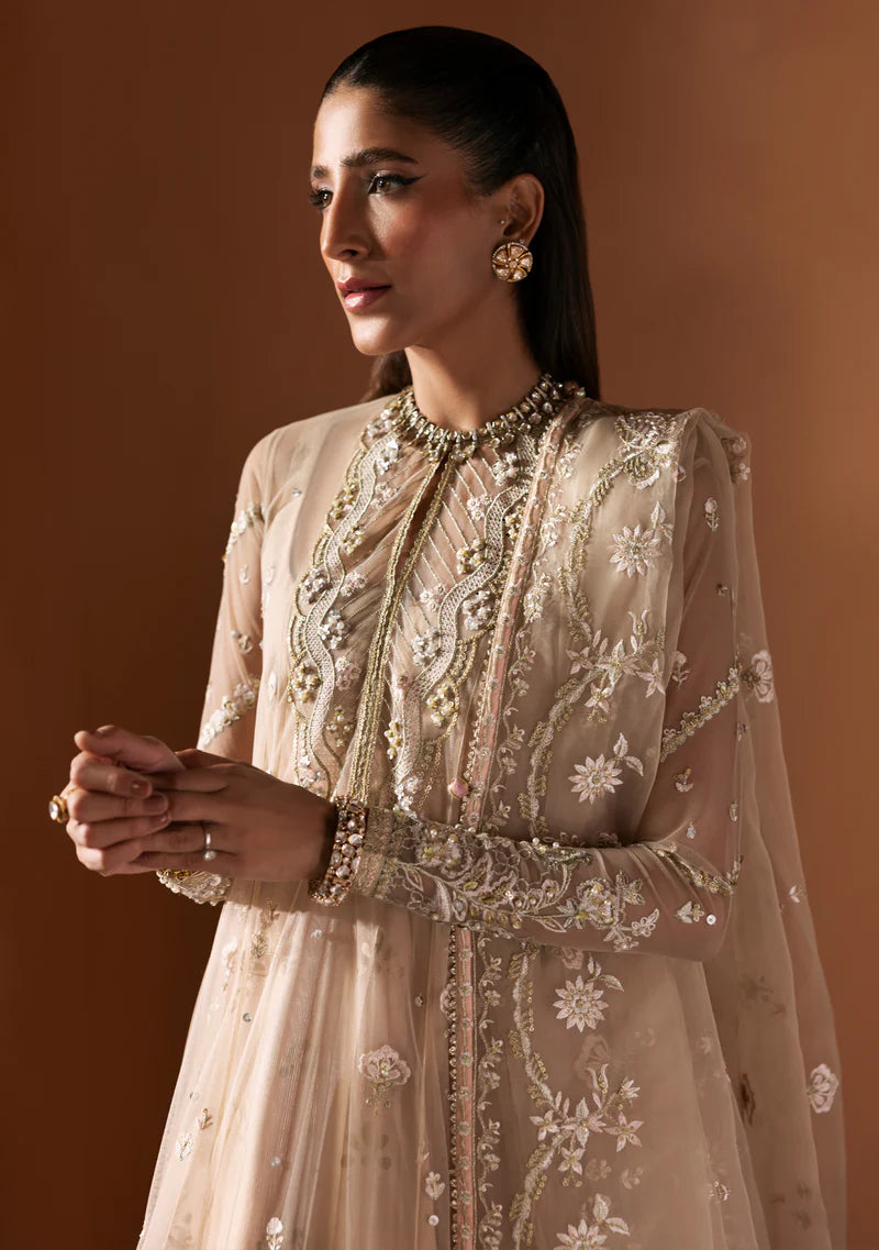 ZAINAB ZULFIQAR - Parizad