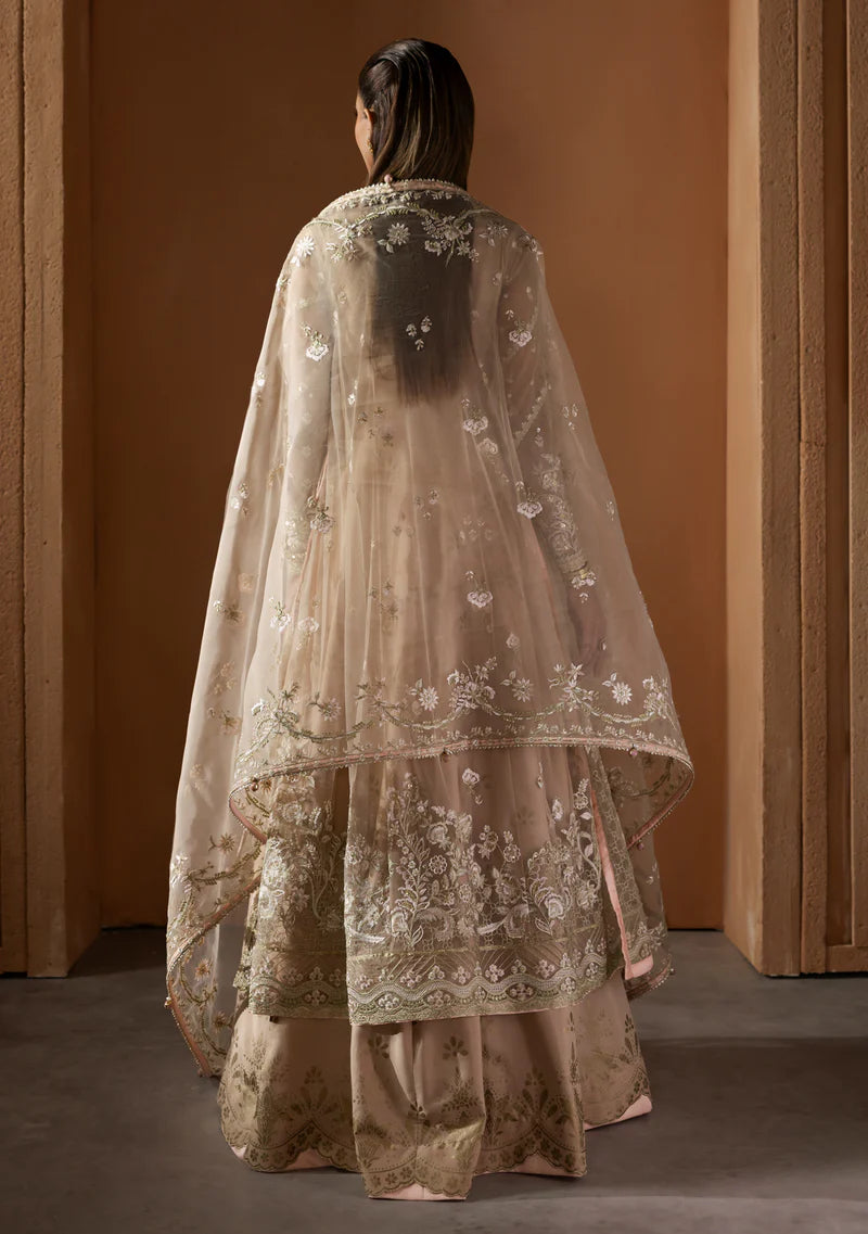 ZAINAB ZULFIQAR - Parizad